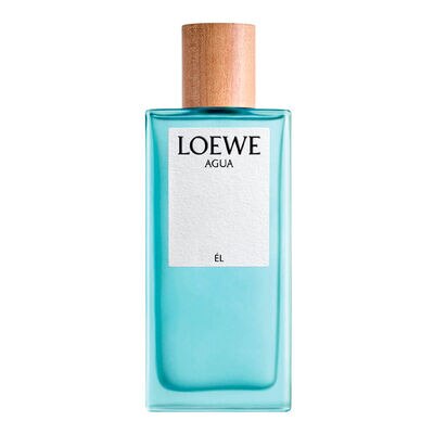 LOEWE      AGUA HOMME    EDT  100ML